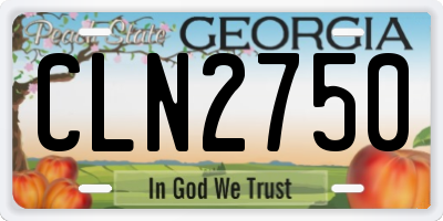 GA license plate CLN2750