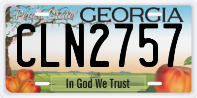 GA license plate CLN2757