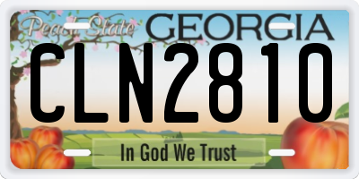 GA license plate CLN2810