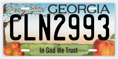 GA license plate CLN2993
