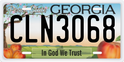 GA license plate CLN3068
