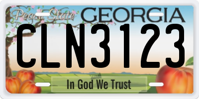 GA license plate CLN3123