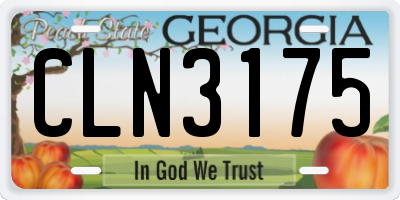 GA license plate CLN3175