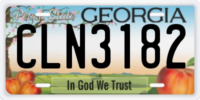 GA license plate CLN3182
