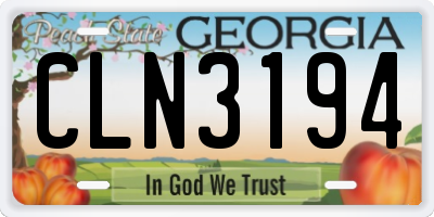 GA license plate CLN3194