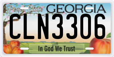 GA license plate CLN3306