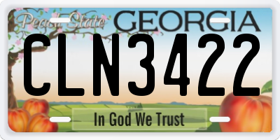 GA license plate CLN3422