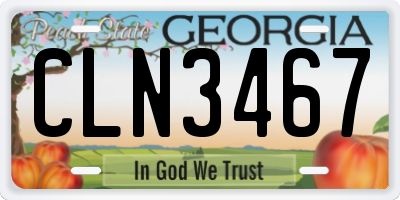 GA license plate CLN3467