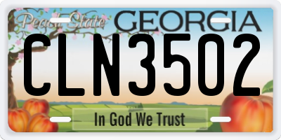 GA license plate CLN3502