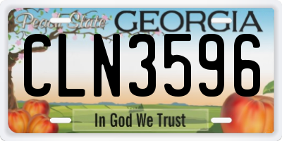 GA license plate CLN3596