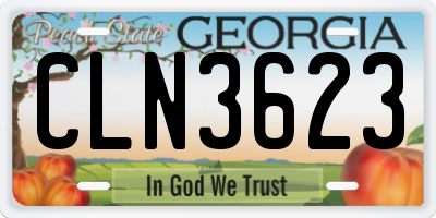 GA license plate CLN3623