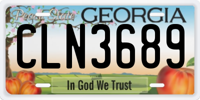 GA license plate CLN3689