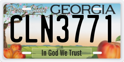 GA license plate CLN3771