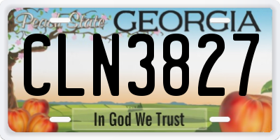 GA license plate CLN3827