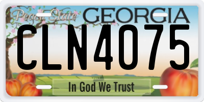 GA license plate CLN4075