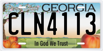 GA license plate CLN4113
