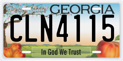 GA license plate CLN4115
