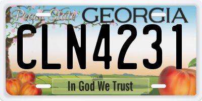 GA license plate CLN4231