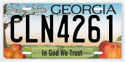 GA license plate CLN4261