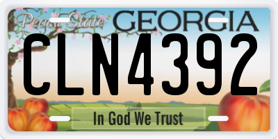 GA license plate CLN4392