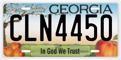 GA license plate CLN4450