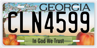 GA license plate CLN4599