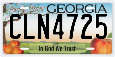 GA license plate CLN4725