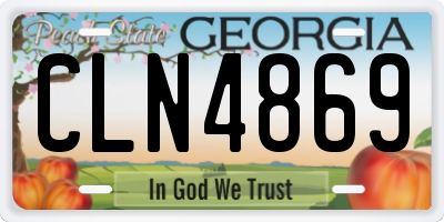 GA license plate CLN4869