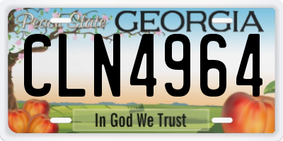 GA license plate CLN4964