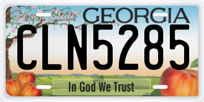 GA license plate CLN5285