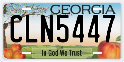 GA license plate CLN5447