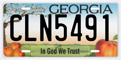 GA license plate CLN5491