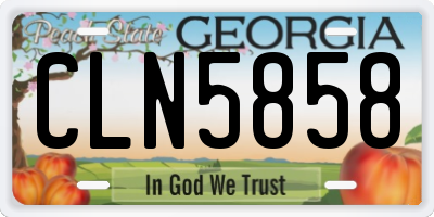 GA license plate CLN5858