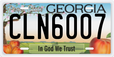 GA license plate CLN6007