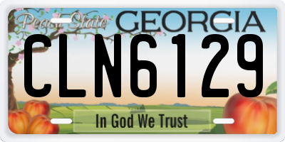 GA license plate CLN6129