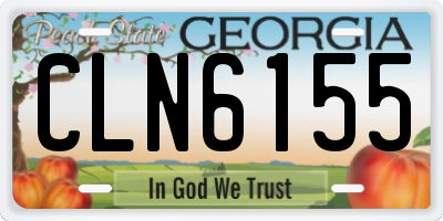 GA license plate CLN6155
