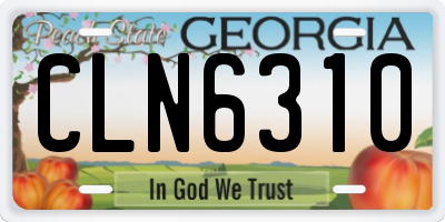 GA license plate CLN6310