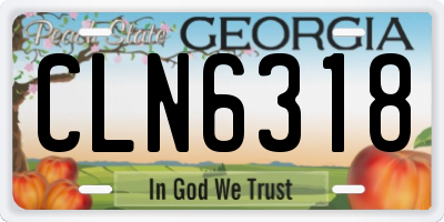 GA license plate CLN6318