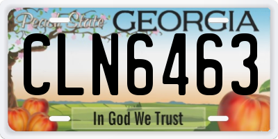 GA license plate CLN6463