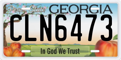 GA license plate CLN6473