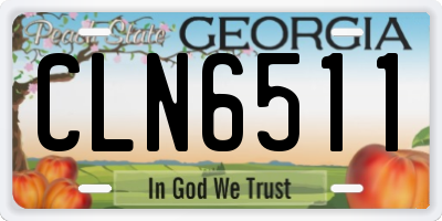 GA license plate CLN6511