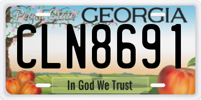 GA license plate CLN8691
