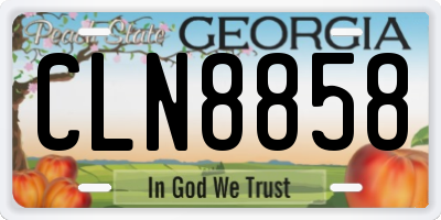 GA license plate CLN8858