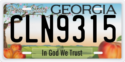 GA license plate CLN9315