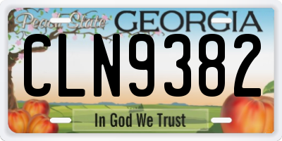 GA license plate CLN9382