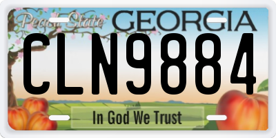 GA license plate CLN9884