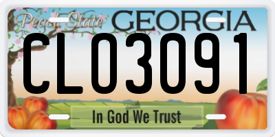 GA license plate CLO3091