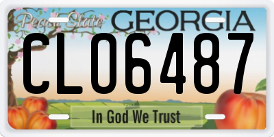 GA license plate CLO6487
