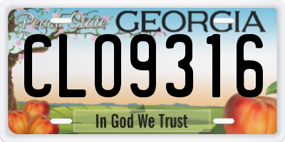 GA license plate CLO9316