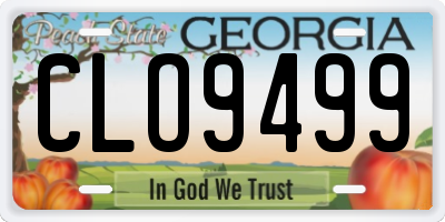 GA license plate CLO9499